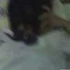 【無修正・個人撮影】これ本物じゃね？女子校生の妹に酒を飲ませて兄がレ●プしてるんだが……